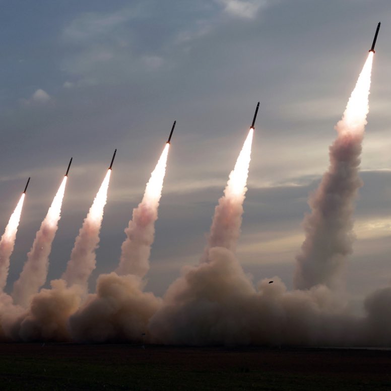 Whale Insider tweet media