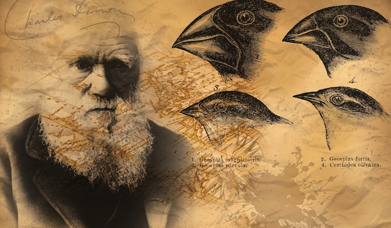 On vous a menti pendant 165 ans

Ce  que je vais vous raconter, on ne vous l’a jamais dit à l’école. Pas  parce que c’est faux. Mais parce que si vous le comprenez, tout  s’effondre. Tout. Le petit château de cartes qu’on vous a construit  depuis le CM2 avec des manuels scolaires