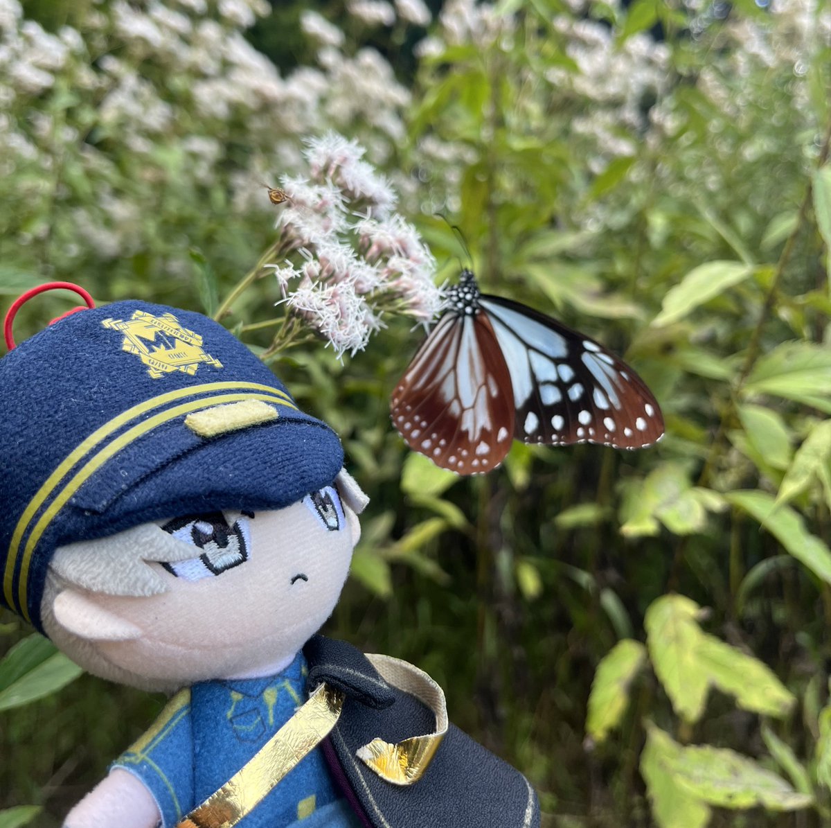 エスぬい tweet media