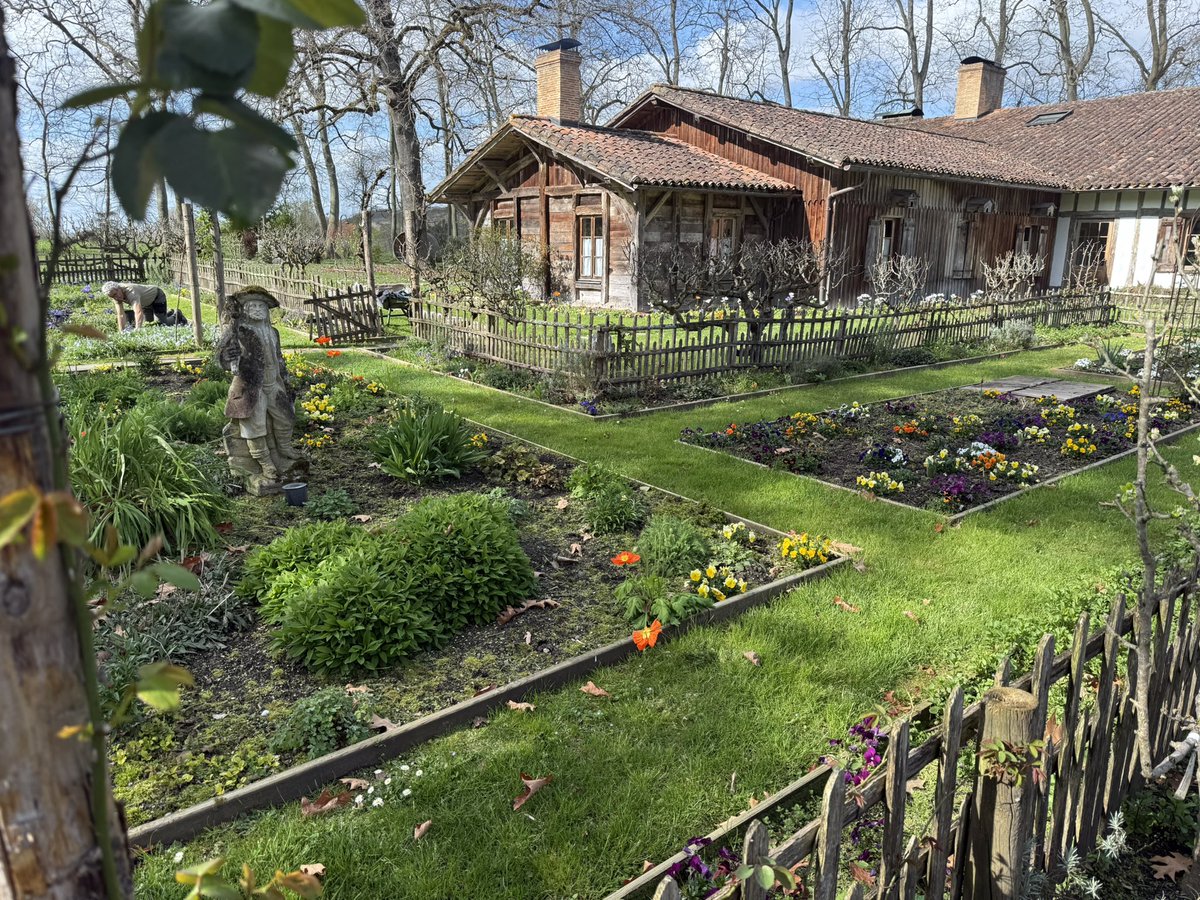 Carlos Mateos tweet media