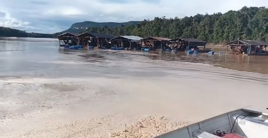 #Realidad #Venezuela 

Balsas, misiles y dragas siguen degradando la principal cuenca hidrográfica del país -en función a la generación Hidroeléctrica-, ¿Porqué la #FANB no detiene el ecocidio que se desarrolla a la vista de todos al #SurDelOrinoco ? 

#VenezuelaFragmentada