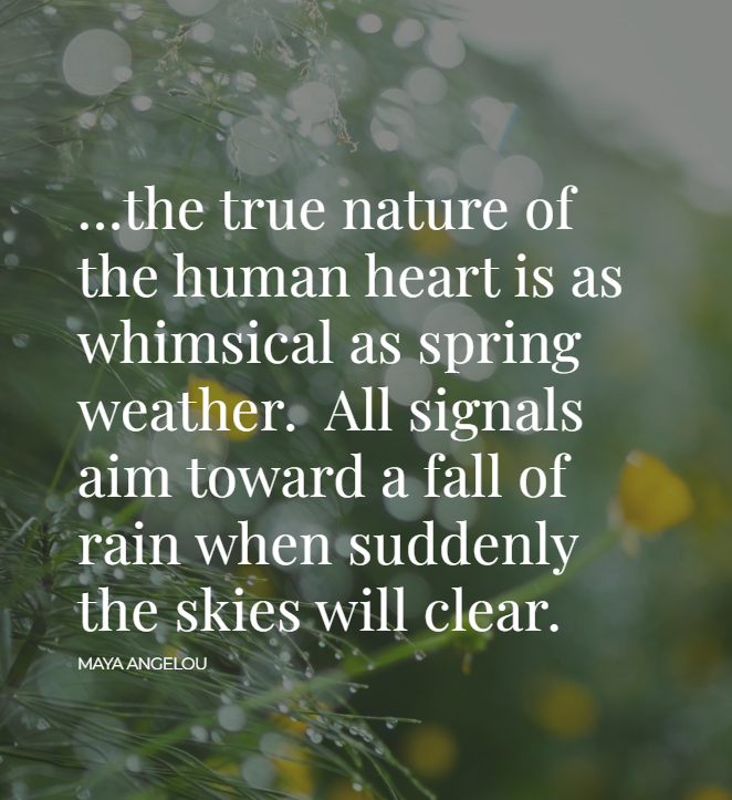 Sisters of St. Joseph in Canada (CSJ) tweet media