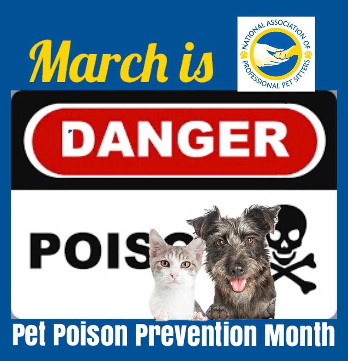 Nat’l Association of Pro Pet Sitters tweet media