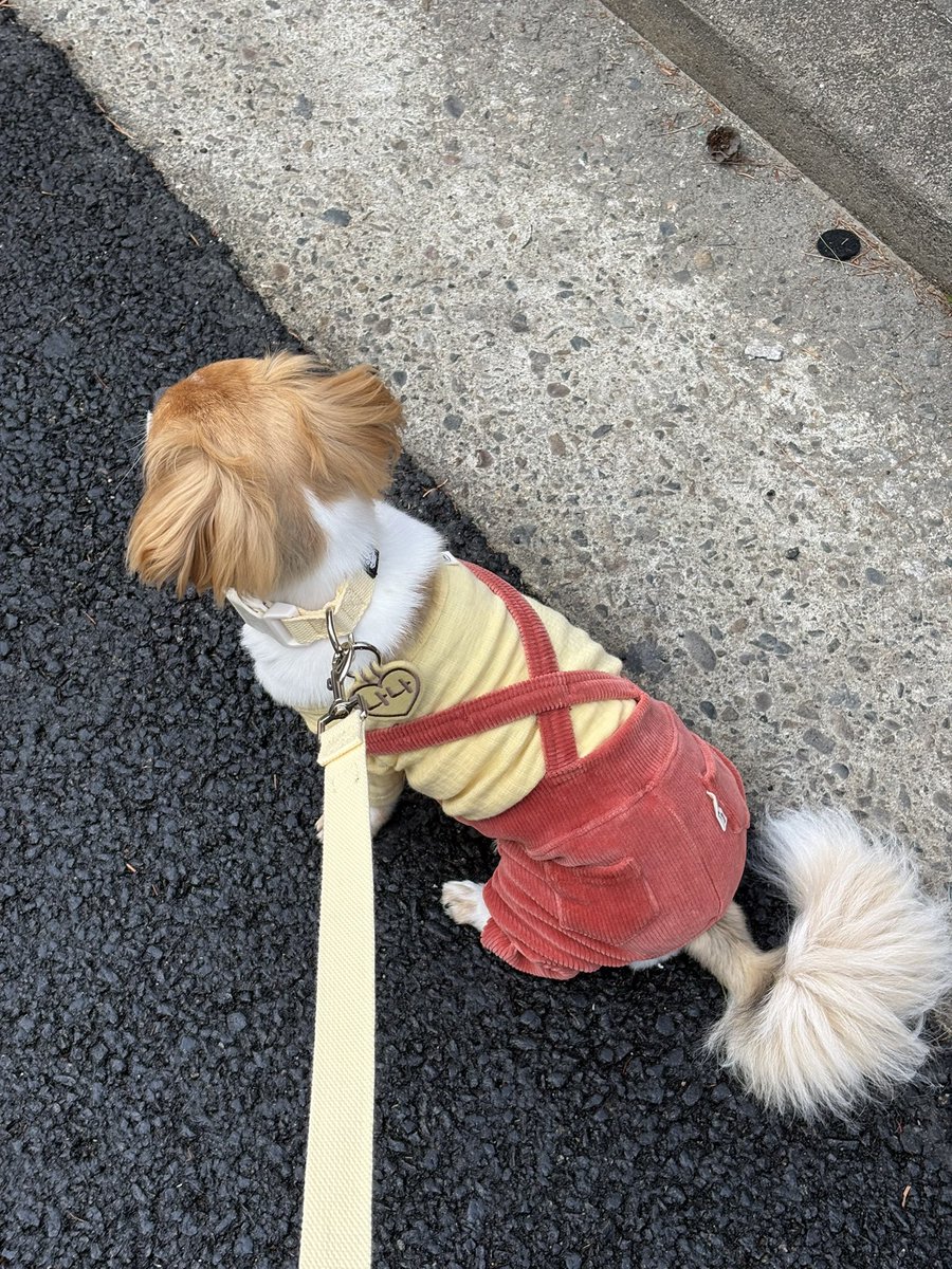 아기 나나 육아일기 tweet media