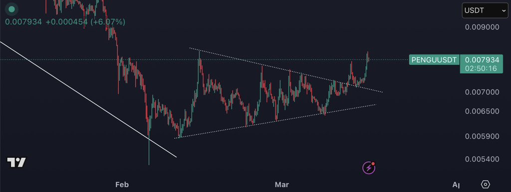 K A L E O tweet media