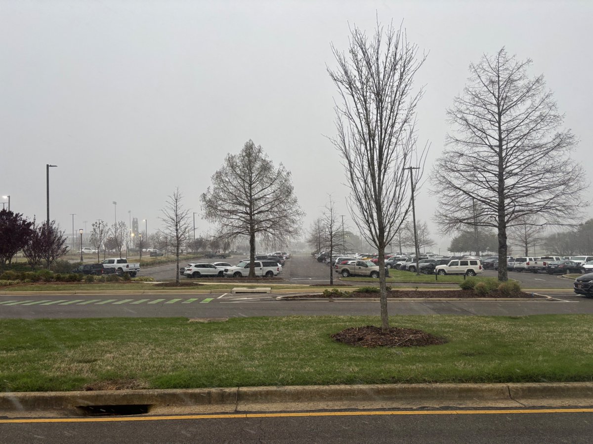 MSU Weather tweet media