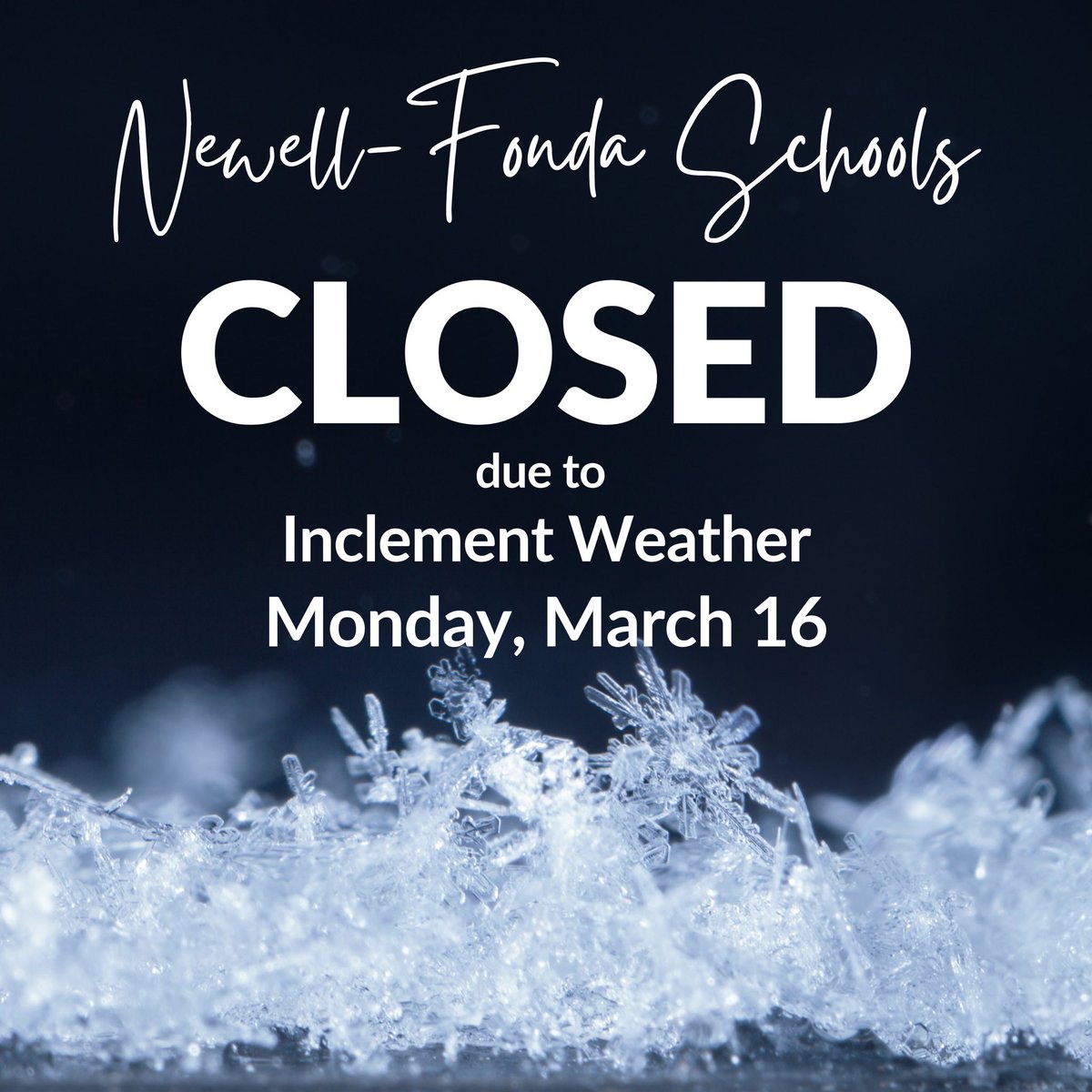 N-F Schools tweet media