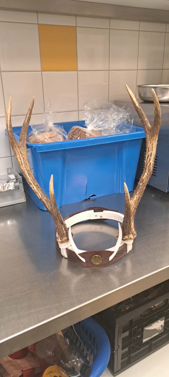 Fishyseidon tweet media