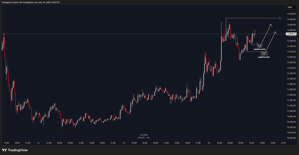 Jip Molenaar tweet media