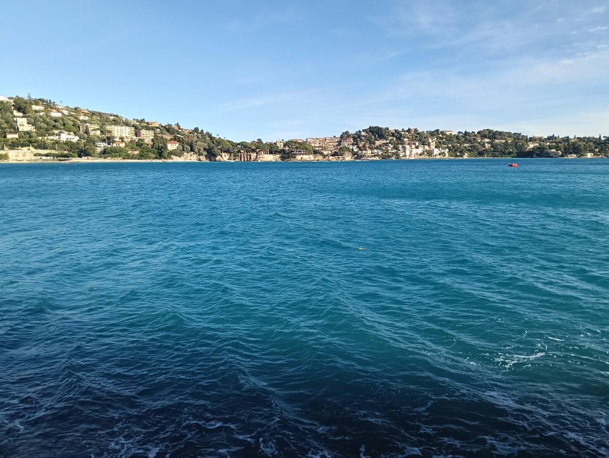 テレ朝 #さまQ 、、いや、#Qさま の放送が無事おわりました。世界の絶景をめぐるクイズの冒険。激闘すぎる激闘を制したのは #村井美樹 さんでした！

そして、、しのは意外とすぐまた来るかもしれま

#その者青き衣をまといて金色の野に降りたつべし