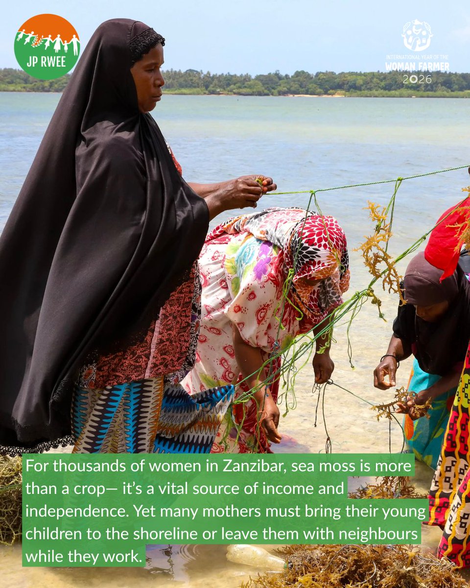 UN JP Rural Women’s Economic Empowerment tweet media