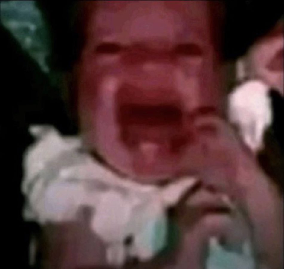 ningning da pero vaz tweet media