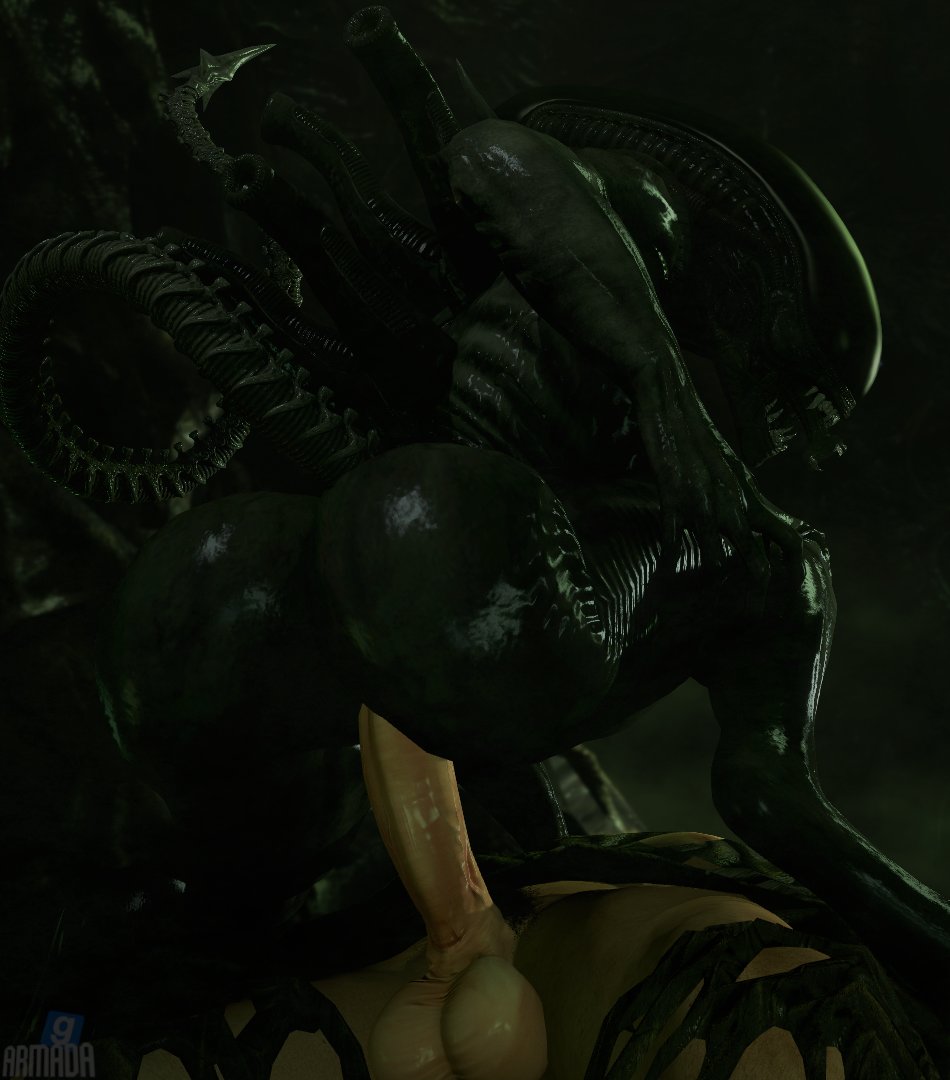 ใ๐๐ซ๐ฆ๐๐๐ใ|GMOD๐ tweet media