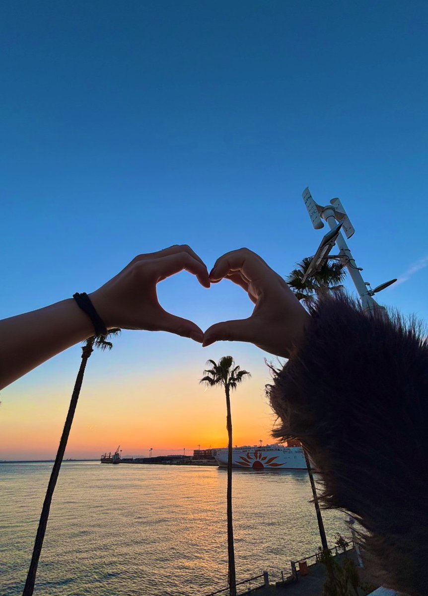 ぷりん🍮 tweet media