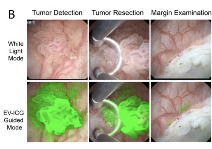 Tom Powles tweet media