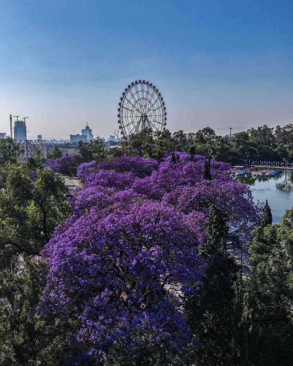 Espíritu Curioso tweet media