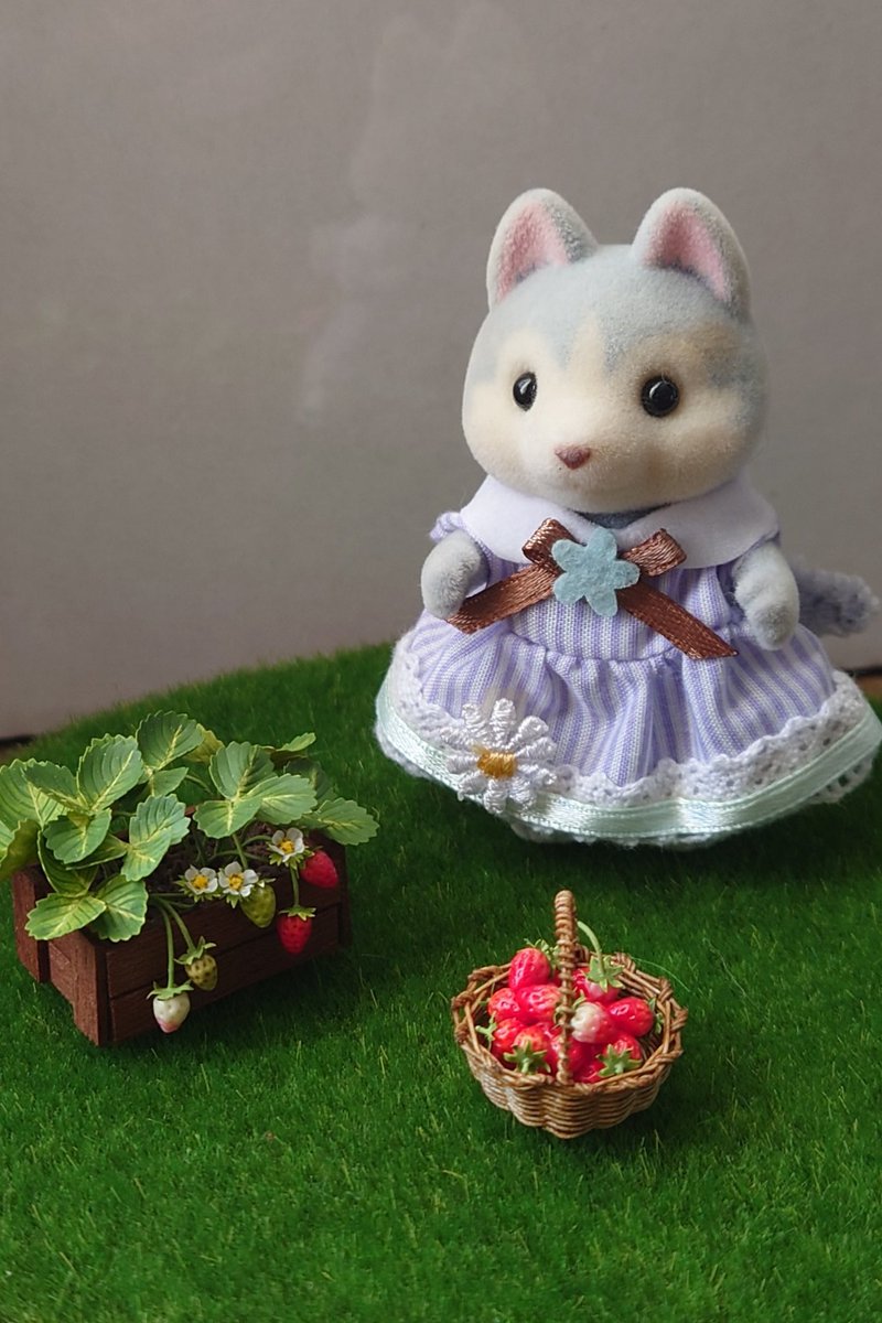 馬原昌宏様の作品のイチゴの苗とイチゴのかごをお迎え
イチゴの花とかめっちゃ精巧で素晴らしい

#ドールハウスフェスタ
#シル活
#シルバニア