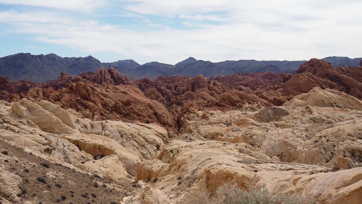 Black 🇬🇱 🏳️‍⚧️ Site tweet media