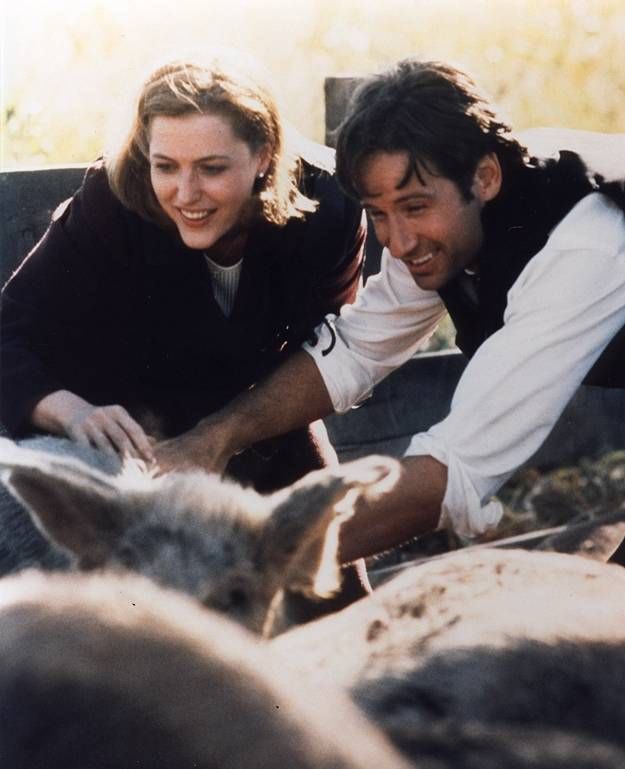 😍4DavidDuchovny tweet media