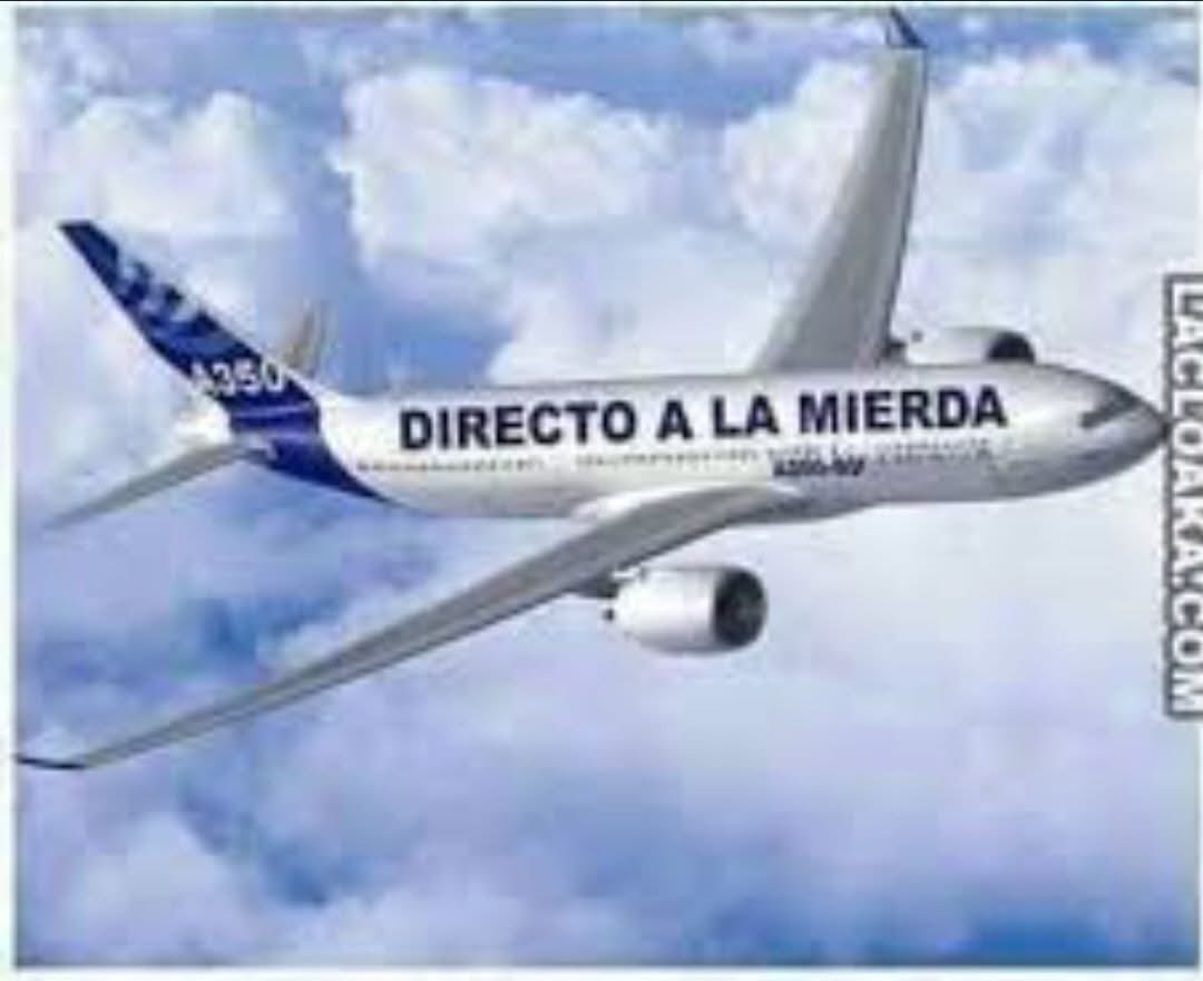 CANELA🐕🫶 tweet media