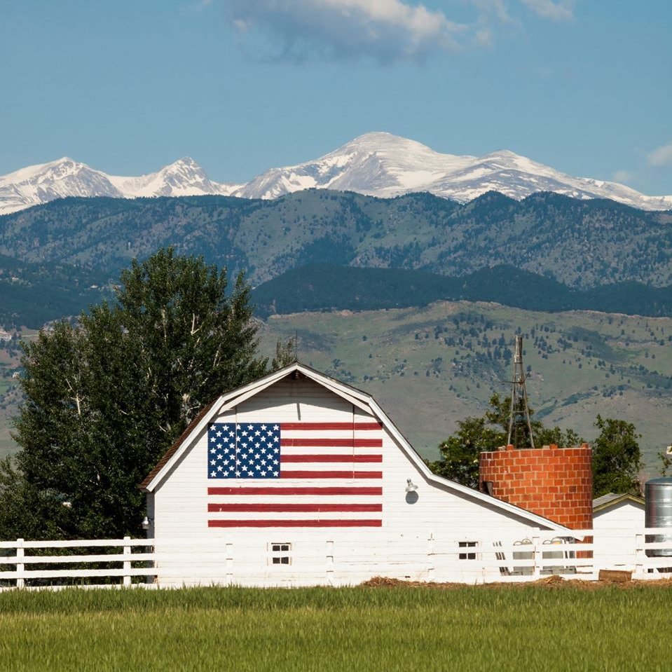 The Bull Moose Project tweet media