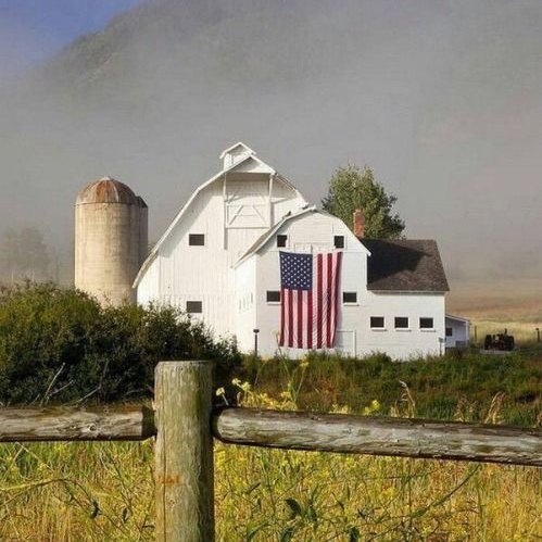 The Bull Moose Project tweet media