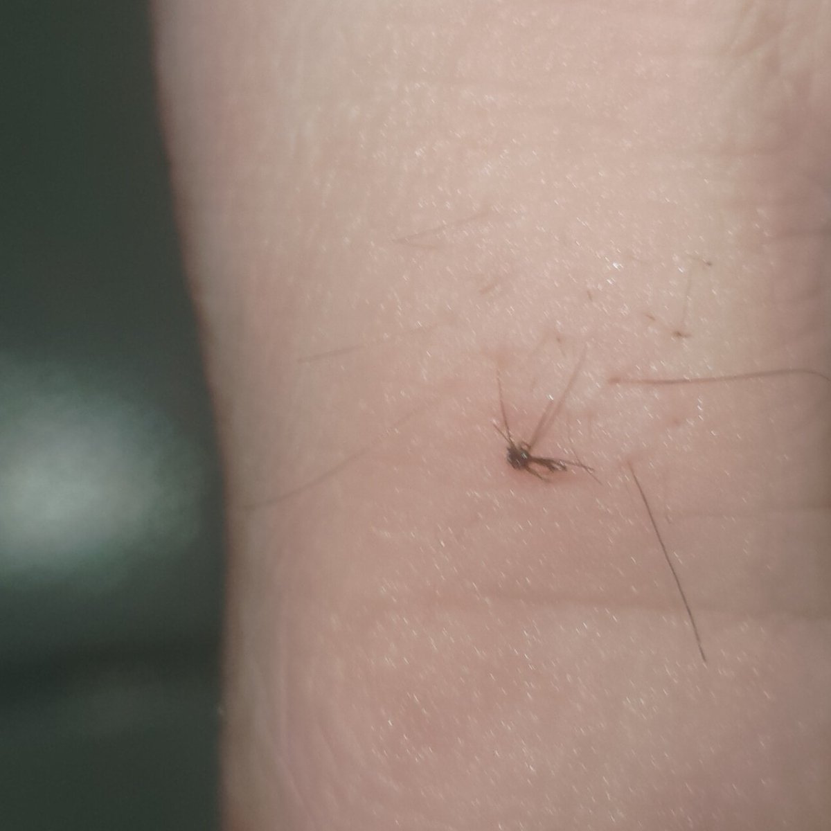 小毬果🔞（已被馴服不接客） tweet media