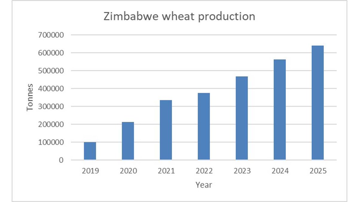 The Herald Zimbabwe tweet media