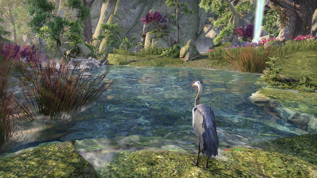 Picashot | Virtual Photography App for Gamers tweet media