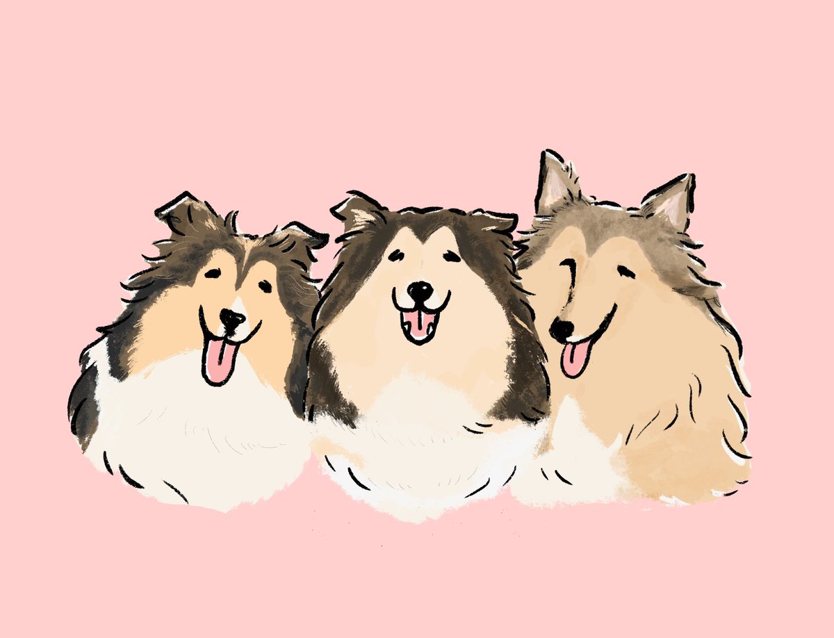 せいこせんせい(犬) tweet media