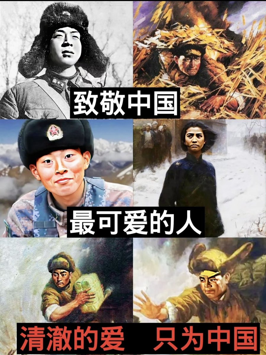 李白🇨🇳（冲10000!互fo100%） tweet media
