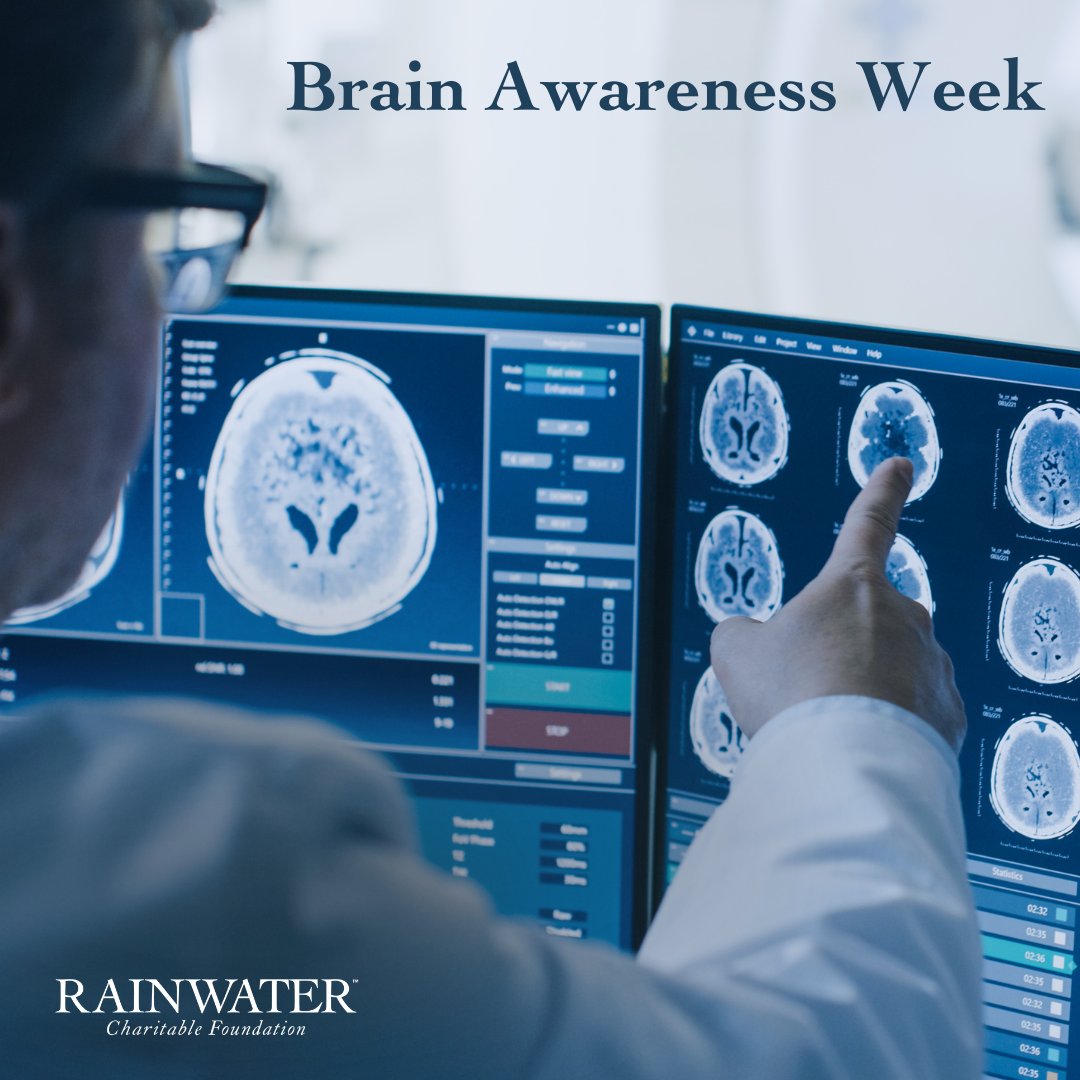 The Rainwater Charitable Foundation tweet media