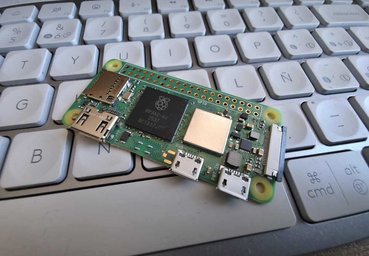 oso carbunco tweet media