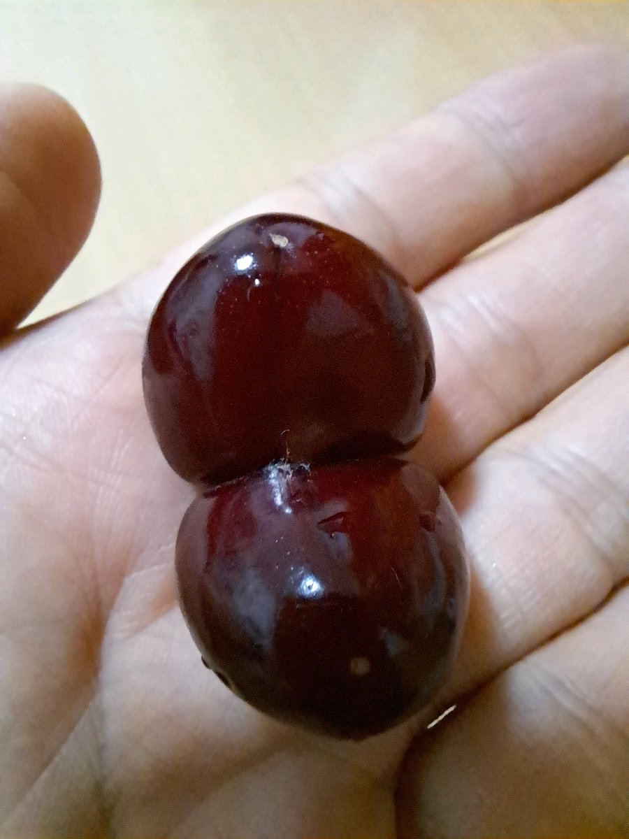 عثمان tweet media