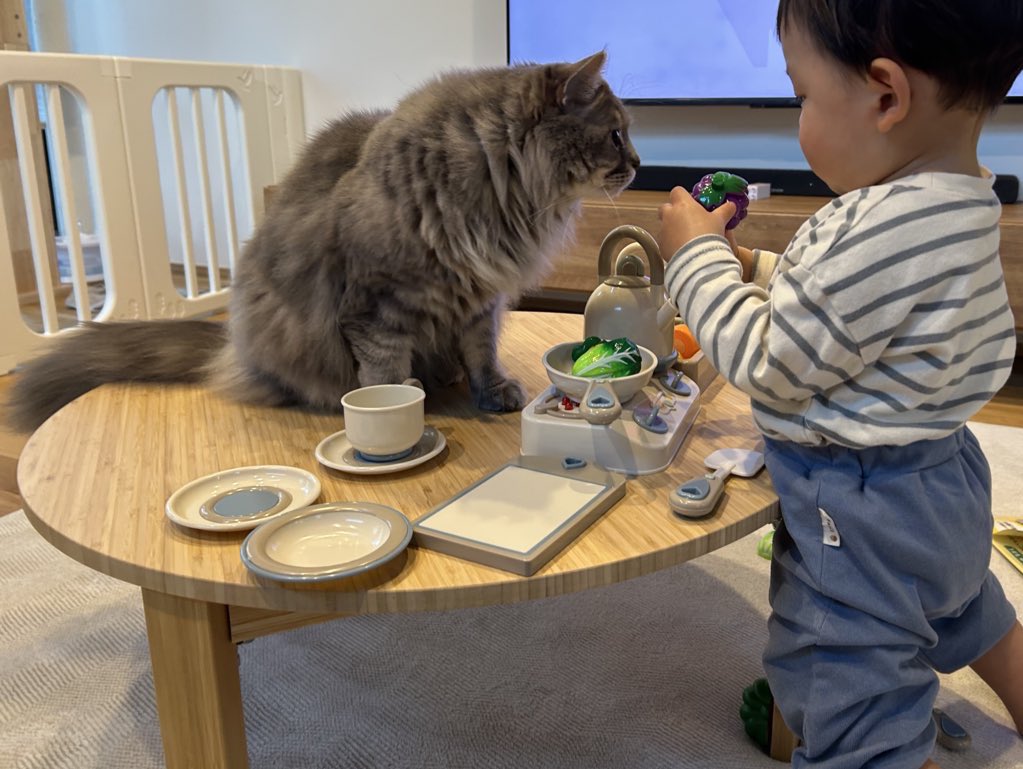 グリとグラとジル🐾 tweet media