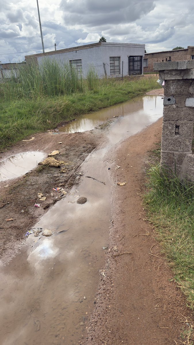 _tshiamiso's tweet photo. @nasiphim @CityTshwane Additionally, there is an area where reeds are growing because of the stagnant water. This situation is making it very difficult for residents to move around and is becoming a health concern for the community. We kindly ask if you could please extend your hand and assist us https://t.co/jD9wYUzLPx