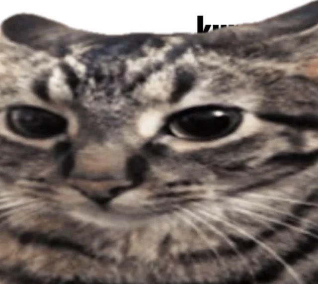 Wiktoryj tweet media