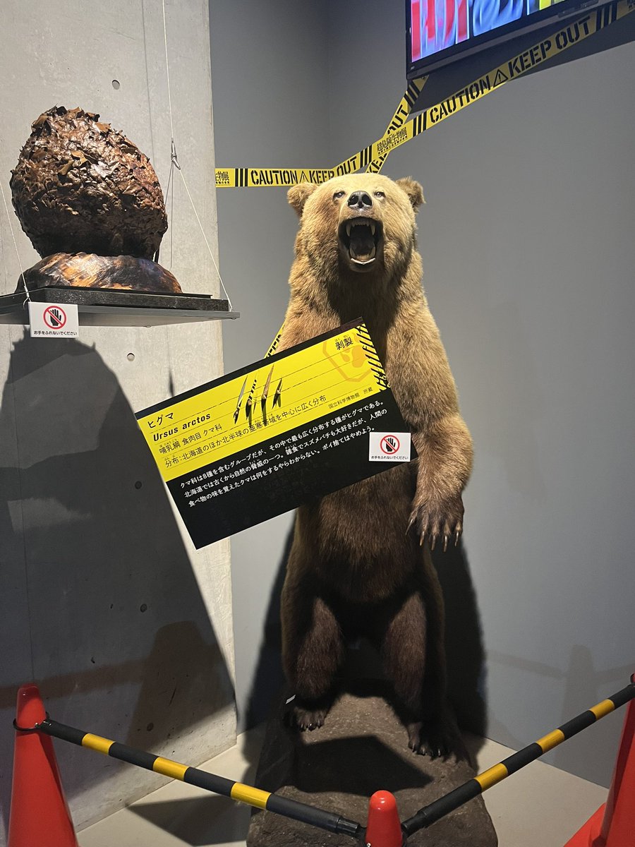 ばぶお tweet media