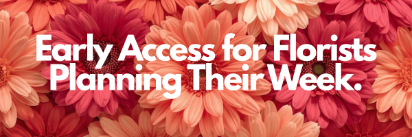 This Week’s Color-Forward Stems Are Ready to Order - mailchi.mp/5b971a758268/f…