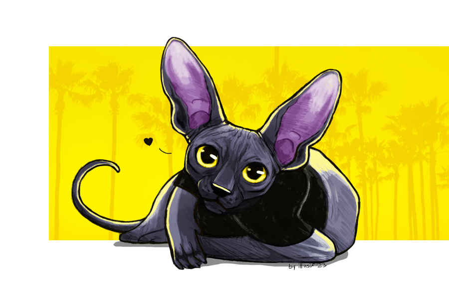 illusir's tweet photo. @Lilayaah Hi Nibbles! 😺 https://t.co/0u2y4AOGE5