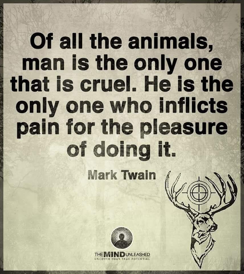 Dervilla(v) tweet media