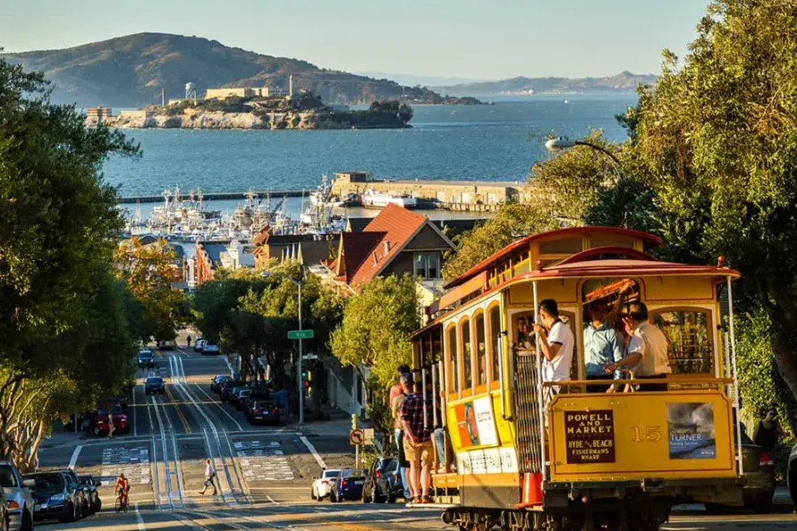 Joe Marcou tweet media