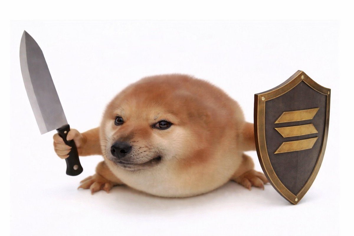 NemyNot's tweet photo. Gradually, then suddenly.🔪🛡️

so…

what the dog doing? https://t.co/VIlGN3WKFi