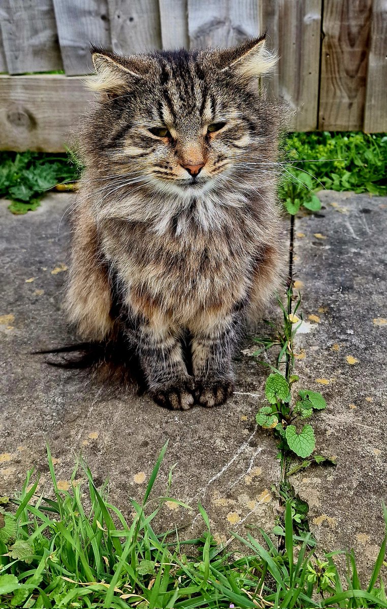 Mark Narrations tweet media