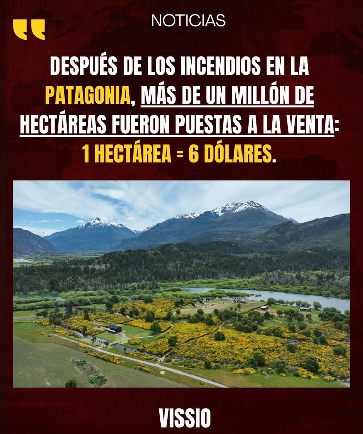 ArturoAroni tweet media