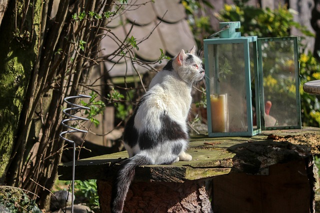 Alex Parmar tweet media