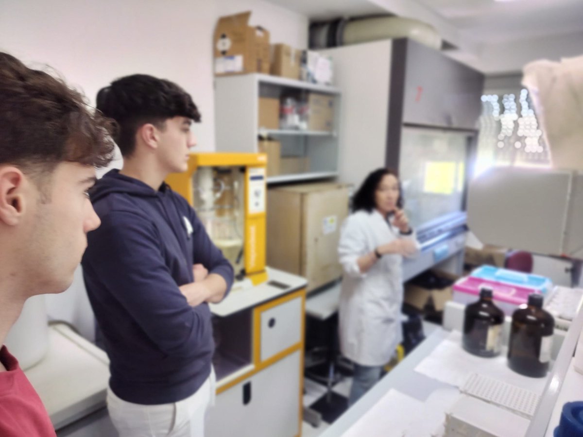 IRNAS Sevilla tweet media