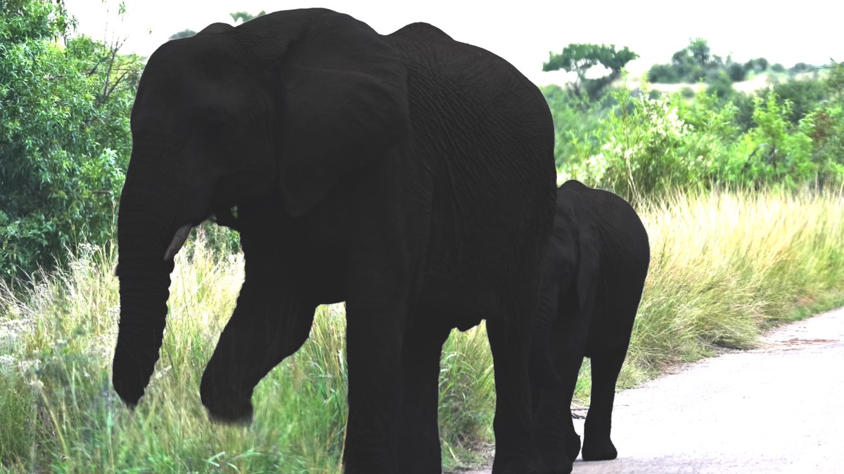 Nottinghamshire CCC tweet media