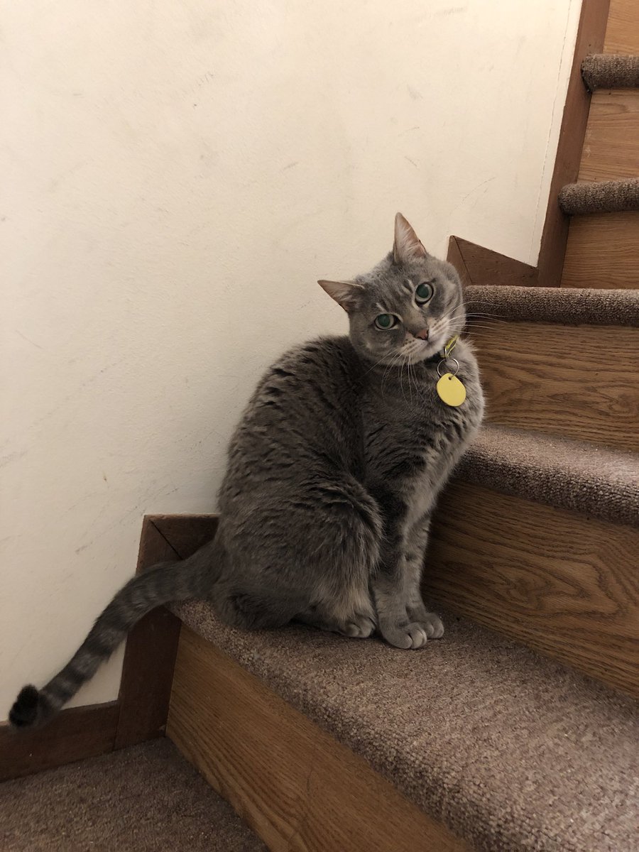 mia 🐇🇵🇸 tweet media