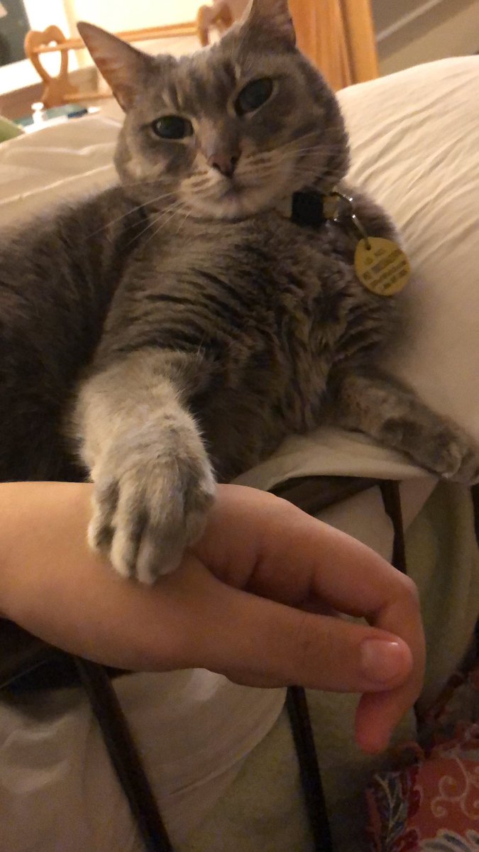 mia 🐇🇵🇸 tweet media